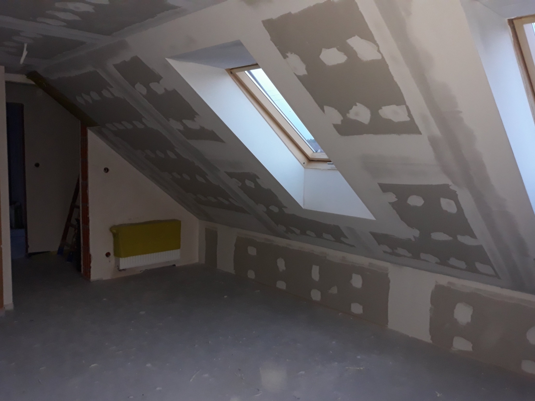 Zdjęcie do wpisu: Ariel :)